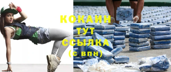 твердый Абаза
