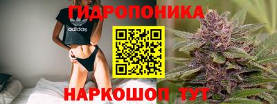 jwh Бердск