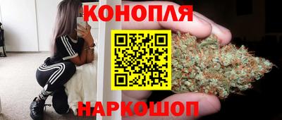 jwh Бердск