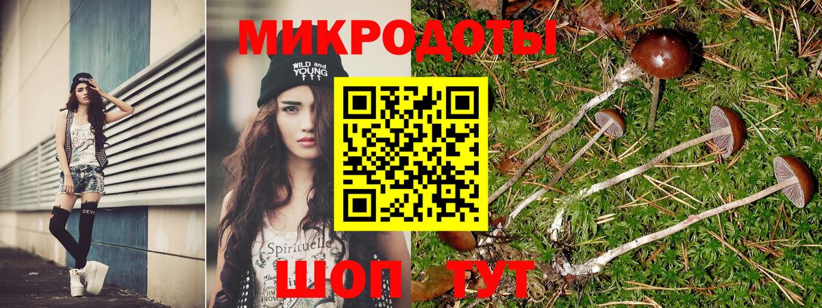 Александров  Галлюциногенные грибы Psilocybe  Вход с VPN 